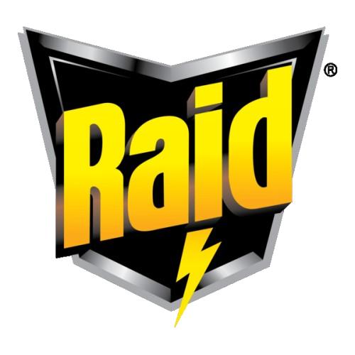 RAID