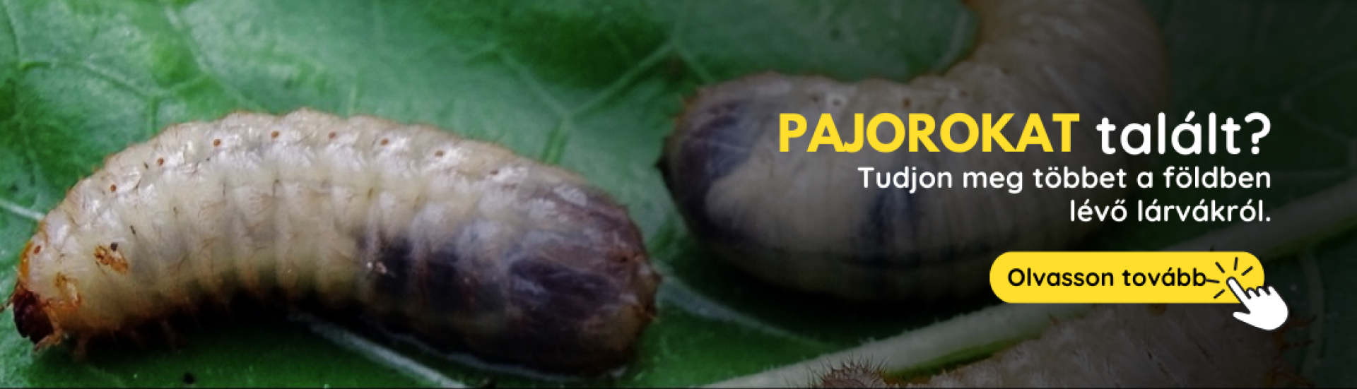 HU Pandravy (3,4,5,6,7,8,9,10) HU Pandravy (3,4,5,6,7,8,9,10)