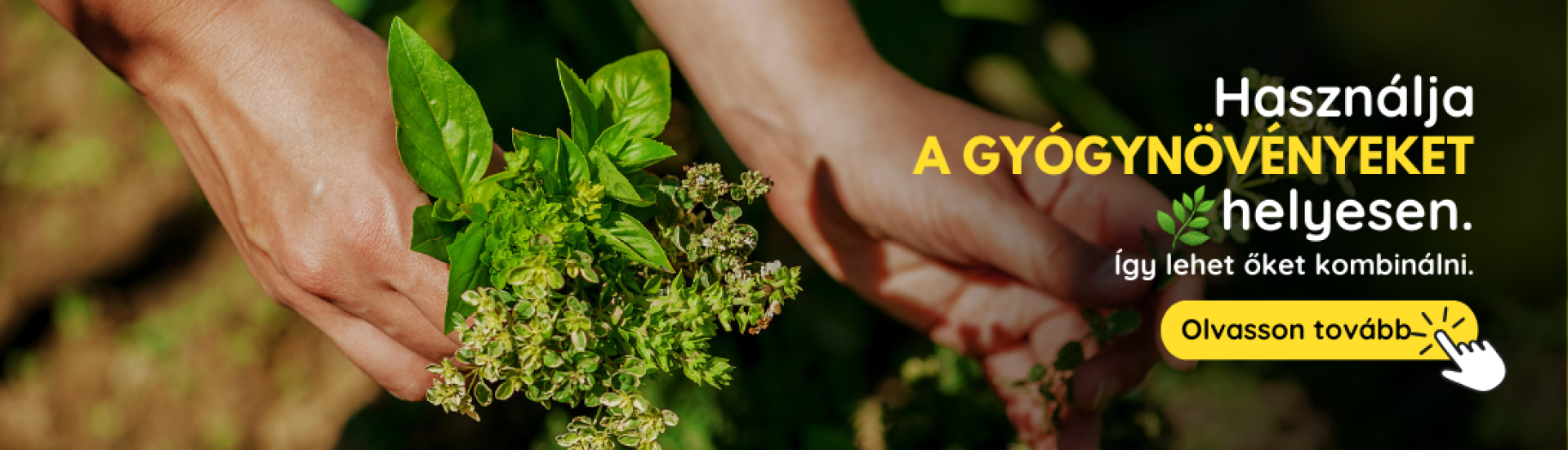 HU Pestovanie byliniek (4,5,6,7,8,9) HU Pestovanie byliniek (4,5,6,7,8,9)